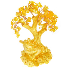 Денежное дерево с цетрином на Жабе 16см