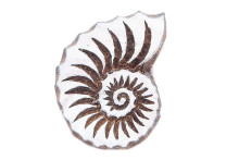 Штамп-печать "Ракушка"