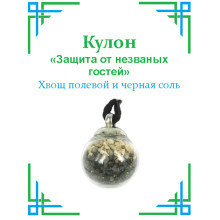 TK18 Кулон с хвощом полевым и черной солью, 2х1,5см, стекло TK18 Кулон с хвощом полевым и черной солью, 2х1,5см, стекло