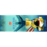 Благовония HEM, шестигранники, Success УСПЕХ 