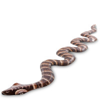  Панно настенное "Змея" (албезия, о.Бали) 100см