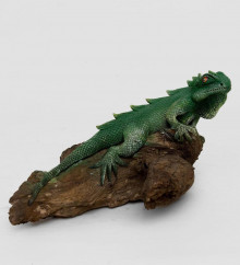 Игуана на дереве