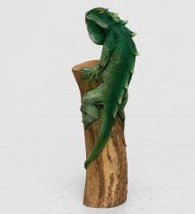 Игуана на дереве