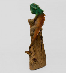 Игуана на дереве