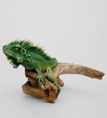 Игуана на дереве