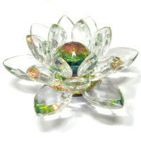 Лотос радужный 8х4см