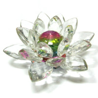 Лотос радужный 10х4,5см