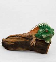 Игуана на дереве