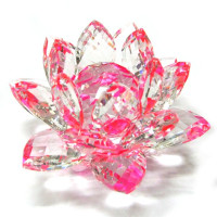 Лотос цветной 8х5см