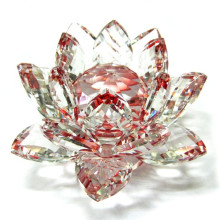 Лотос цветной 10х6см Лотос цветной 10х6см