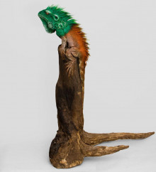 Игуана на дереве