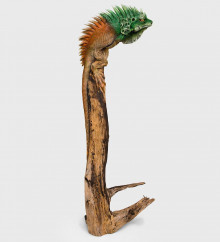 Игуана на дереве