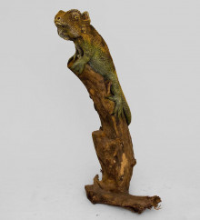 Хамелеон на дереве