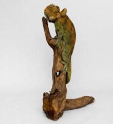 Хамелеон на дереве