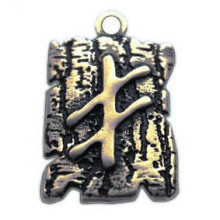 BV05-14 Амулет № 14, Руна Опора, бронза, 19*30мм (СР ) BV05-14 Амулет № 14, Руна Опора, бронза, 19*30мм (СР )